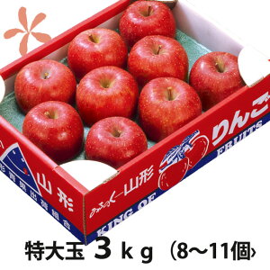  ӂ tWS  y R`  ӂ  p 3kg 8`11 ۊR` z ӂ tW S ʕ 5kg 10kg 󂠂 MB X  _Y