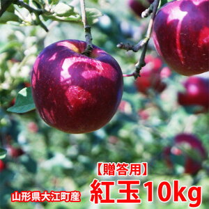 g   10kg R` R`]{ kR̃W[X EM͔| 傭  { J[ li Y k Yn H  _Y |Cg 100~ 300~ 500~