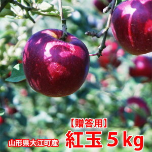 g   5kg R` R`]{ kR̃W[X EM͔| 傭  W H _ { J[ li Y k Yn H  _Y