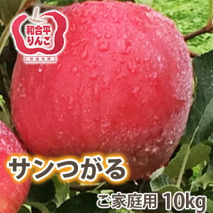   󂠂  y ƒp T 10kg tl z S t炸 R`@L@_͔| R`  a 5kg 3kg 󂠂  g _Y |Cg 1