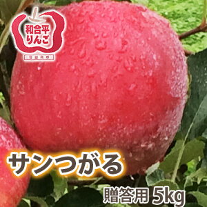 つがる りんご 送料無料 【 贈答用 サンつがるりんご 5kg 満杯詰め 】 リンゴ 葉取らずりんご 山形 有機低農薬栽培 山形 朝日町 和合平 つがるの特徴 10kg 3kg 訳あり 贈答 農産物 ポイント消化