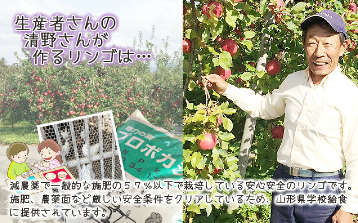 楽天市場】シナノスイート りんご 送料無料 リンゴ 葉取らずりんご 【 贈答用 朝日町 和合平 シナノスイート 5kg 満杯詰め 10月上旬〜20日頃 】 有機減農薬栽培 山形 産地 10kg 5kg 3kg 訳あり 贈答 蜜入りリンゴ 農産物 ポイント消化 100円 300円 500円 : 花ギフト 山形 ... 楽天市場】シナノスイート りんご 送料無料 リンゴ 葉取らずりんご 【 贈答用 朝日町 和合平 シナノスイート 5kg 満杯詰め 10月上旬〜20日頃 】 有機減農薬栽培 山形 産地 10kg 5kg 3kg 訳あり 贈答 蜜入りリンゴ 農産物 ポイント消化 100円 300円 500円 : 花ギフト 山形 ...