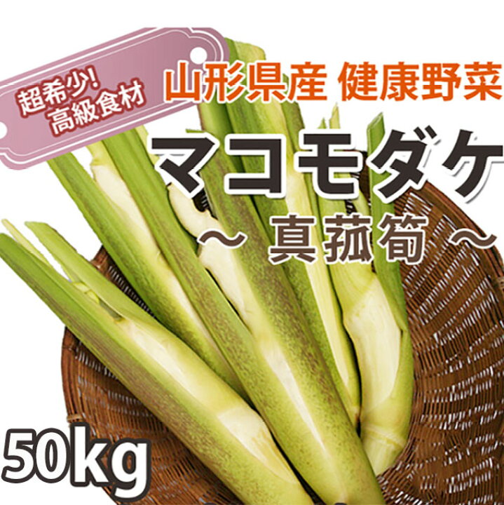 楽天市場】マコモダケ 【 50kg 約400本〜600本 】 送料無料 マコモタケ 