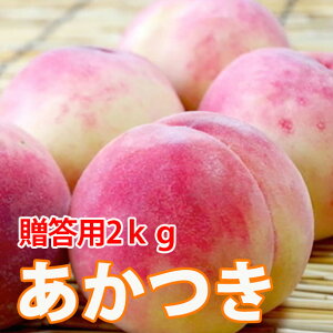     y G 2kg 6`7 tl _ L@ 엿 _ ͔|Ԃ 810`815 z t[c  󂠂 ƒp  _Y |Cg