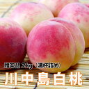 2025年 予約 桃 川中島白桃 【 贈答品 川中島白桃 特秀 大玉 2kg 6玉 加藤農園 有機 肥料 減農薬 栽培 ※発送期間 8月28日頃〜9月7日頃 】 国産 ギフト フルーツ あかつき おどろき 川中島 白桃 農産物 ポイント消化