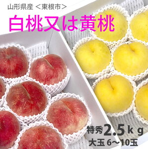 R`    y G  2.5kg 6`10  삳̓ z  쒆 K ɒB   M ̋ R`Y Mtg {bNX hV̓ E N[| 