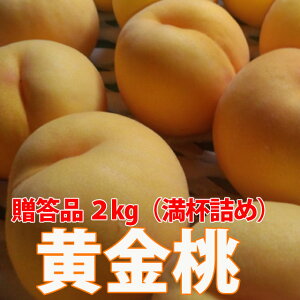      y p Gi 2kgitl߁j _ L@_@ 8{`9j{ z R` Mtg t[c  ƒp  5kg 󂠂 _