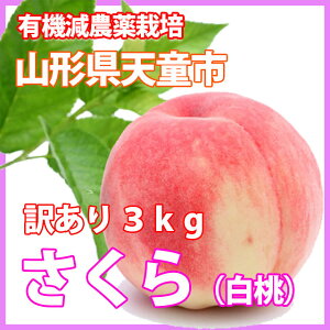   y   󂠂 3kg _ z R`Y Mtg {bNX hV̓ E N[| 󂠂 5kg G Y    _Y |Cg 100~ 300~ 500~