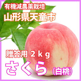 楽天市場 桃の通販