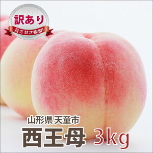    킯  Y y  󂠂 3kg tl _ L@ 엿 _ ͔|Ԃ́i 9{`10{ jz t[c  ƒp 5kg _Y |Cg 100