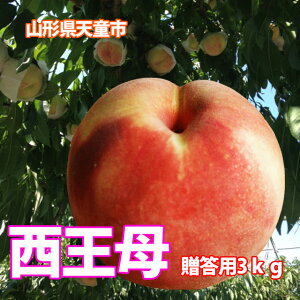     Y Mtg y  G 3kg tl _ L@ 엿 _ ͔|Ԃ́i 9{`10{ j z t[c  ƒp  5kg _Y |Cg 100