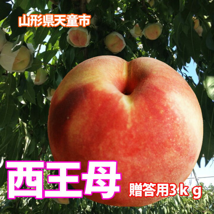 楽天市場】2025年 予約 桃 白桃 西王母 送料無料 国産 ギフト 