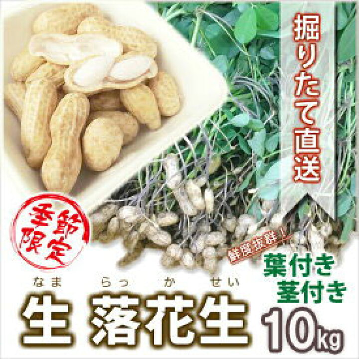 楽天市場】落花生 落花生生 茹で落花生 10kg 5kg 2個 おおまさり 郷の 