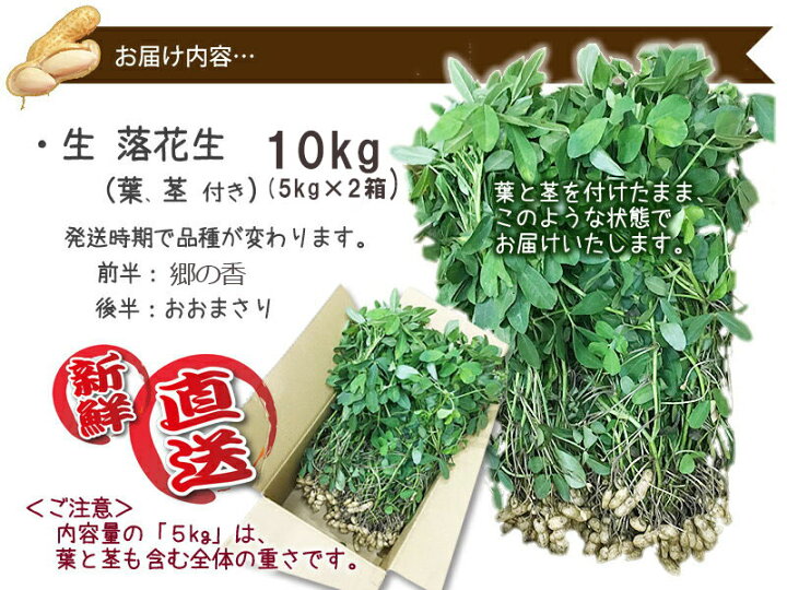 楽天市場】2025年 予約 落花生 生落花生 10kg 5kg 2個 おおまさり 郷の 