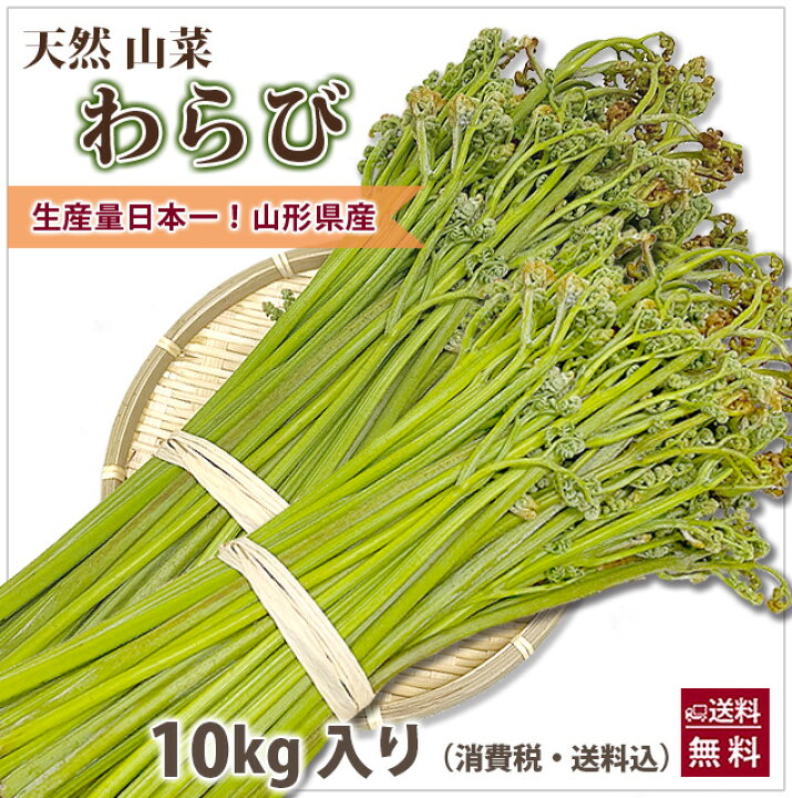 楽天市場】山形県産 山菜 天然わらび 蕨 生ワラビ 生わらび 10kg 送料 