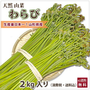 R`Y R VR n r  2kg  VR Rs R` r r̍̂ꏊ  Vs ܂ h{ _Y r̃ANd r̂@ 