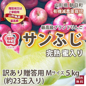 ӂ  󂠂 R` t炸  y 󂠂 ӂ p 5kg tl ̖ڈ i ኱̐FނLALY j MTCY 23ʓ z n  a5