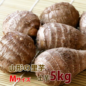   Ƃ TgC R` y y  5kg G Ai M TCY  z y  Y ۑ  ς낪 ϕ Vs   ̎n ̕ۑꏊ ̕
