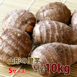   Ƃ TgC R` y y  10kg G Ai S TCY  z y  Y ۑ  ς낪 ϕ Vs   ̎n ̕ۑꏊ ̕