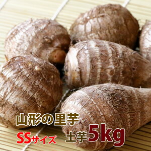  Ƃ TgC R` y y  5kg G Ai SS TCY  z y  Y ۑ  ς낪 ϕ Vs   ̎n ̕ۑꏊ ̕