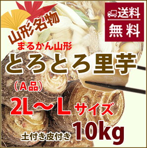   Ƃ TgC R` y y  10kg G Ai 2L`L TCY  z y  Y ۑ  ς낪 ϕ Vs   ̎n ̕ۑꏊ 