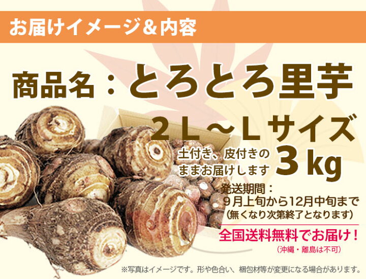 市場 里芋 とちゅうだ 土生芋 送料無料 子株 ねっとり 訳あり 山形 10ｋｇ さといも B品 煮物やおでんにおススメ
