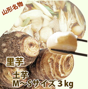  Ƃ R` y G M`S 3kg VN Yn RsY TgC ggH ϕ uߕ  ƒp Ɩp p jp {̖o NH   ۑ\ Mtg v