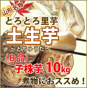   Ƃ TgC R` y y  10kg G Bi e 󂠂 y Ƃイ z y  Y ۑ  ς낪 ϕ Vs   ̎n 