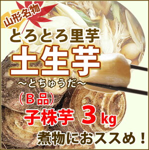   Ƃ TgC R` y y  3kg G Bi e 󂠂 y Ƃイ z y  Y ۑ  ς낪 ϕ Vs   ̎n ̕