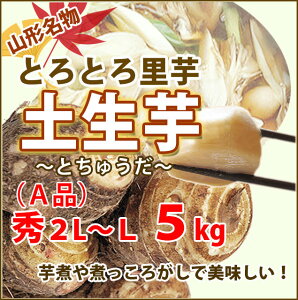  Ƃ R` y G 2L`L 5kg VN Yn RsY TgC ggH ϕ uߕ  ƒp Ɩp p jp {̖o NH   ۑ\ Mtg v