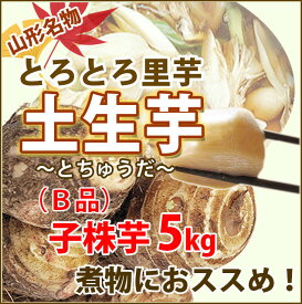 楽天市場 山形 里芋 野菜 きのこ 食品の通販