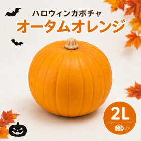 ハロウィンカボチャ ハロウィン かぼちゃ 生 本物 オータムオレンジ 2L 直径約25cm 1個 国産 観賞用 飾り 装飾 パンプキン オブジェ オーナメント ジャックオーランタン くりぬき 巨大かぼちゃ ハロウィン飾り 農産物 オータムゴールド