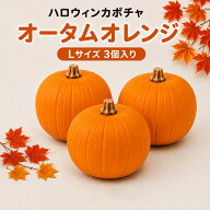 ハロウィンカボチャ ハロウィン かぼちゃ 生 本物 オータムオレンジ L 3個 (直径約20～22cm） 国産 観賞…
