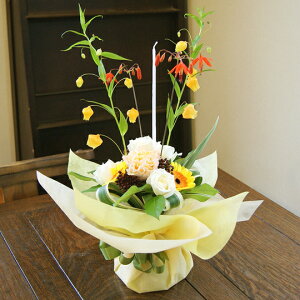 T_[\jA NX}X  Lht ԕr̂Ȃԑ z[EiCg NX}Xv[g u[[Y@a LO NX}X |Cg 100~ 300~ 500~ 