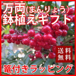  A  y  D U bsO z  c V 痼   AWg   |Cg ԃMtg