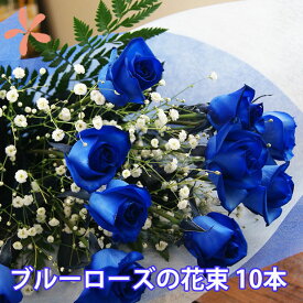 青いバラ ブルーローズ 生花 価格 プレゼント 【 10本 花束 】 結婚 誕生日 お中元 プロポーズ 奇跡 青い薔薇 花言葉 サントリー 青 値段 苗 本物 バラ苗 ブリザード プリザーブドフラワー 1本 3本 アクセサリー アレンジメント 花ギフト