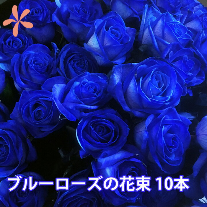 楽天市場 青いバラ ブルーローズ 本とカスミ草 誕生日 プレゼント 青バラ 花束 青い薔薇 青薔薇 花 結婚記念日 送別会 花ギフト 青 薔薇 バラ 苗 サントリー 生花 レインボーローズ ポイント消化 花ギフト 山形産果物野菜 花樹有