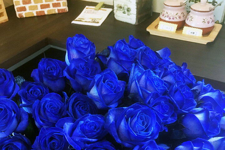 楽天市場 お中元 青いバラ ブルーローズ 本とカスミ草 誕生日 プレゼント 青バラ 花束 青い薔薇 青薔薇 花 結婚記念日 送別会 花ギフト 青 薔薇 バラ 苗 サントリー 生花 レインボーローズ ポイント消化 花ギフト 山形産果物野菜 花樹有