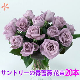 青いバラ ブルーローズ サントリー 20本 奇跡の薔薇 花束 ブーケ バレンタイン お返し ホワイトデー 誕生日 ギフト 結婚記念日 バラ あおい 本物 花言葉 青薔薇 奇跡 卒業 入学 送別 青バラ お祝い 退職 おしゃれ 値段 送料無料 生花 お供え 108本 花ギフト