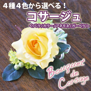 u[PEhDERT[WRT[WiVNj |Cg 100~ 300~ 500~