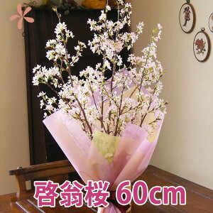 桜 生花の人気商品 通販 価格比較 価格 Com