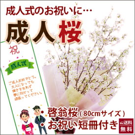 啓翁桜 桜 花束 山形 年始 【 成人桜 80cm 家庭で飾れる丁度いいサイズ（お届けは1月6日以降の商品） 】 花 祝 送別 卒業 入学 送別会 花束 プレゼント 送料無料 誕生日 結婚記念日 フラワーギフト 花ギフト 10本 けいおう桜 サクラ 成人の日