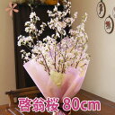 啓翁桜 山形 花束 80cm 7本～8本 桜 枝 生花 さくら 花束 山形 プレゼント バレンタイン ご年始 お正月 正月の花 送別…