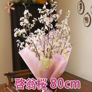 [ 80cm 7{`8{  }   ԑ R` v[g Ǝ w zCgf[ ʉ Ԍ Ԍ Nn N l l̓  ̔ ؂ Ԍt [Ƃ A ~ 