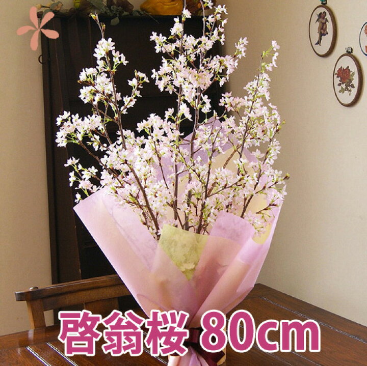 楽天市場 啓翁桜 桜 花束 山形 お彼岸 送別 歓送迎会 啓翁桜 花束 山形 特級80cm ７ ８本入り 家庭で飾るに丁度良い長さ 送別会 花束 プレゼント 送料無料 花 お歳暮 祝 花 誕生日 結婚記念日 フラワーギフト 花ギフト 10本 けいおう桜 花ギフト 山形産果物野菜 花樹有