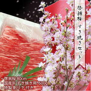  [ ( 80cm )  Ă ( 600g ) Zbg y R` Y Ăp    Zbg  Nn N  z12 㔼 ` 3  Mtg v[g o^C zC