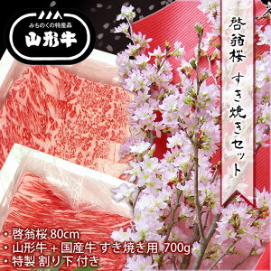  [ ( 80cm )  Ă ( 700g ) Zbg y R` Y Ăp    Zbg  Nn N  z12 㔼 ` 3  Mtg v[g o^C zC
