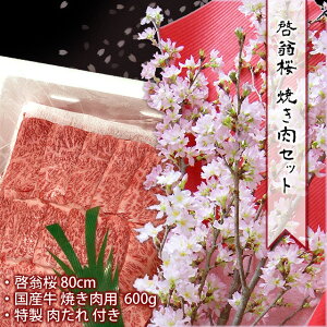  [ ( 80cm )  ē ( 600g ) Zbg y R` Y ēp    Zbg  Nn N  Mtgz12 㔼 ` 3  Mtg v[g  o^C 