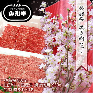  [ ( 80cm )  ē ( 950g ) Zbg y R` Y ēp    Zbg  Nn N  Mtgz12 㔼 ` 3  Mtg v[g  o^C 