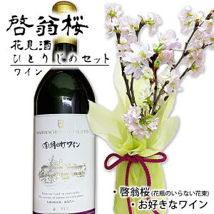 [ C  ԑ CЂƂ肶߃Zbg Ԍ C   R` [ fR[u[P ԕr̂Ȃԑ o^C zCgf[ Nn N  ԃMtg